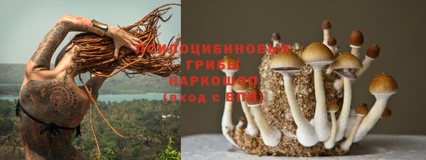 МДПВ Богородицк