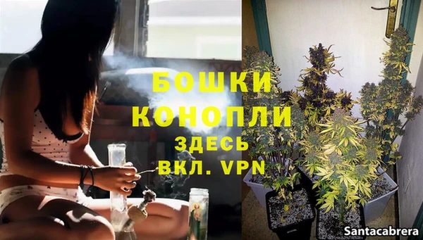 МДПВ Богородицк