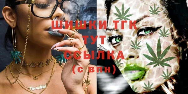 МДПВ Богородицк