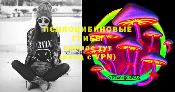 МДПВ Богородицк