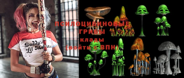МДПВ Богородицк