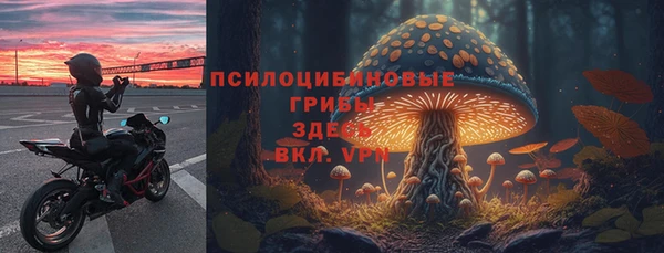 каннабис Богданович